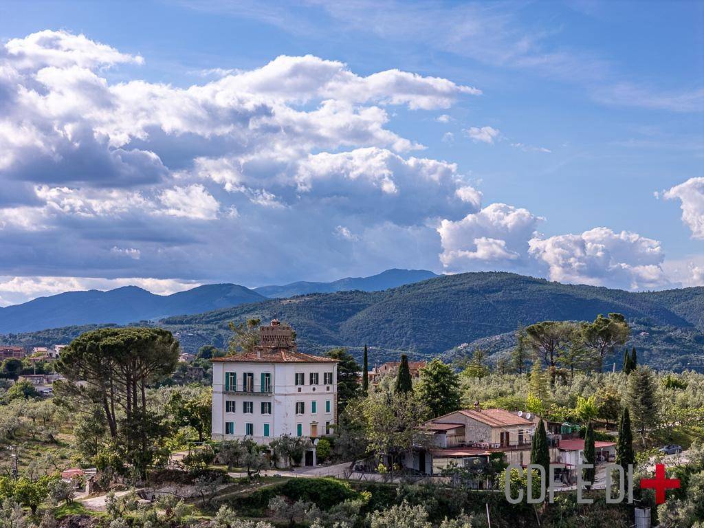 Vista