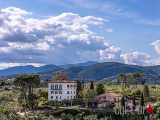 Vista