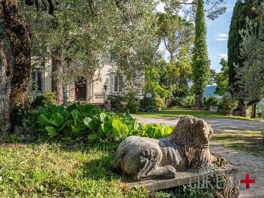 Giardino