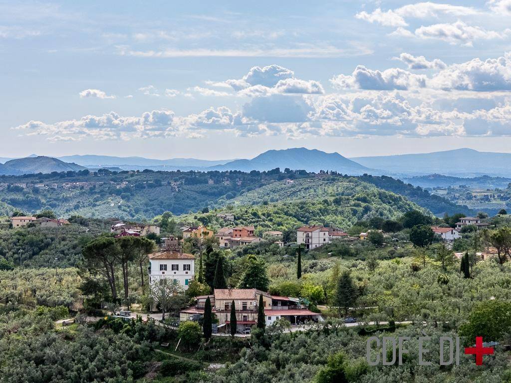 Vista