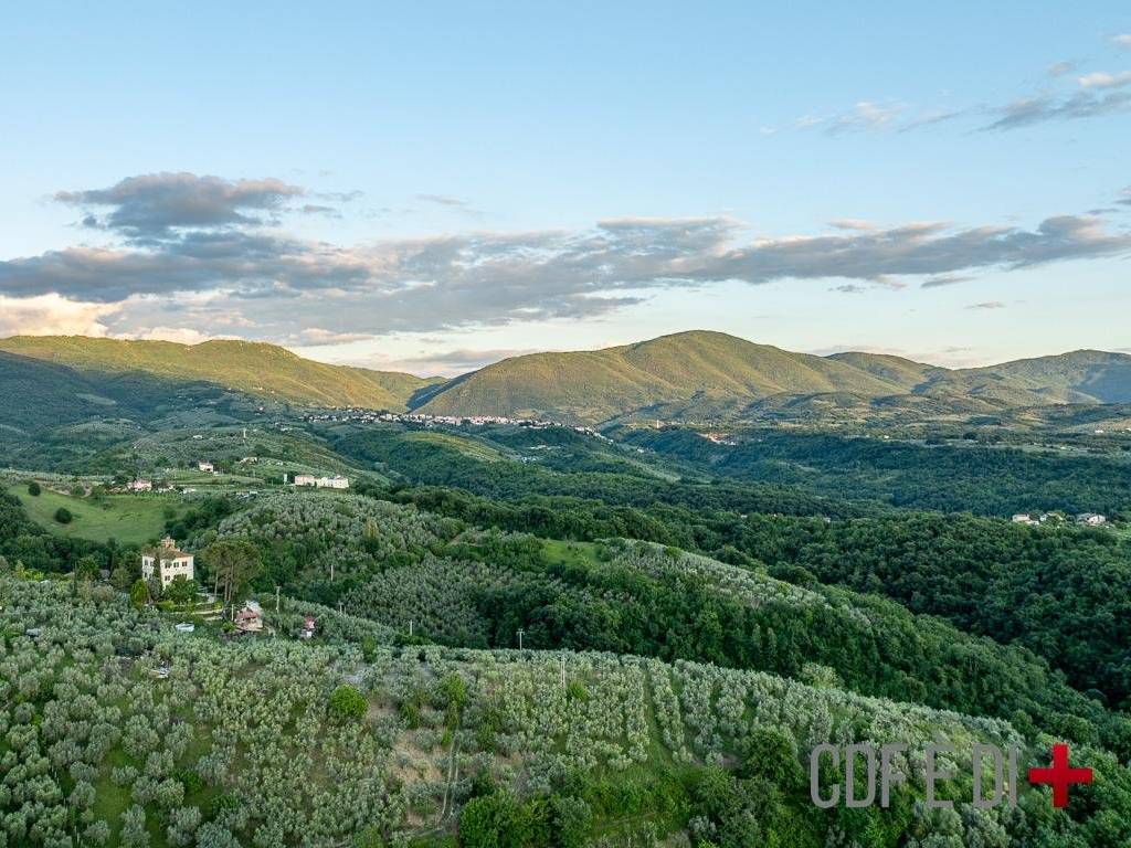 Vista