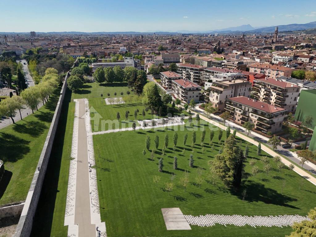 Vista