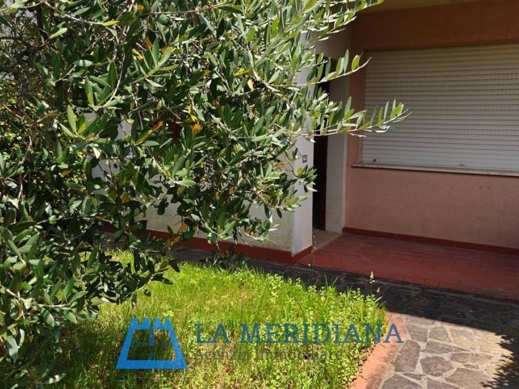 Giardino