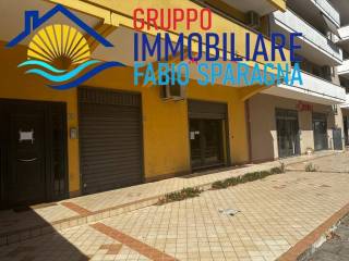 Zona