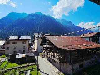 Vista