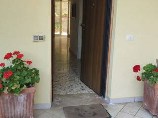 Ingresso