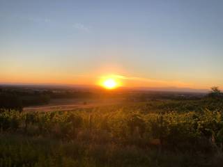 Vista