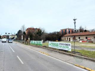 Zona