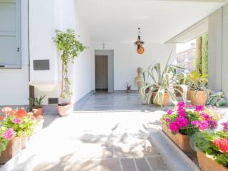 Ingresso