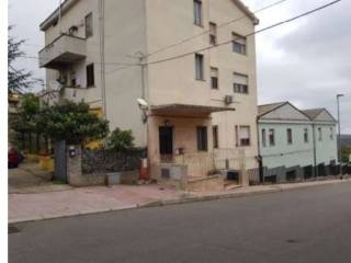 Zona