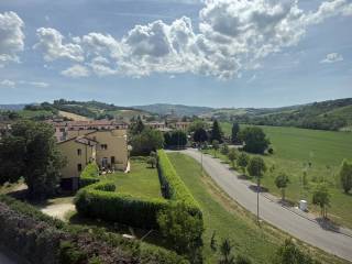 Vista