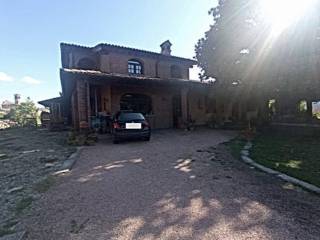 Zona