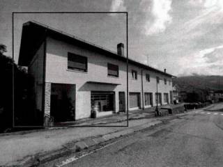 Zona