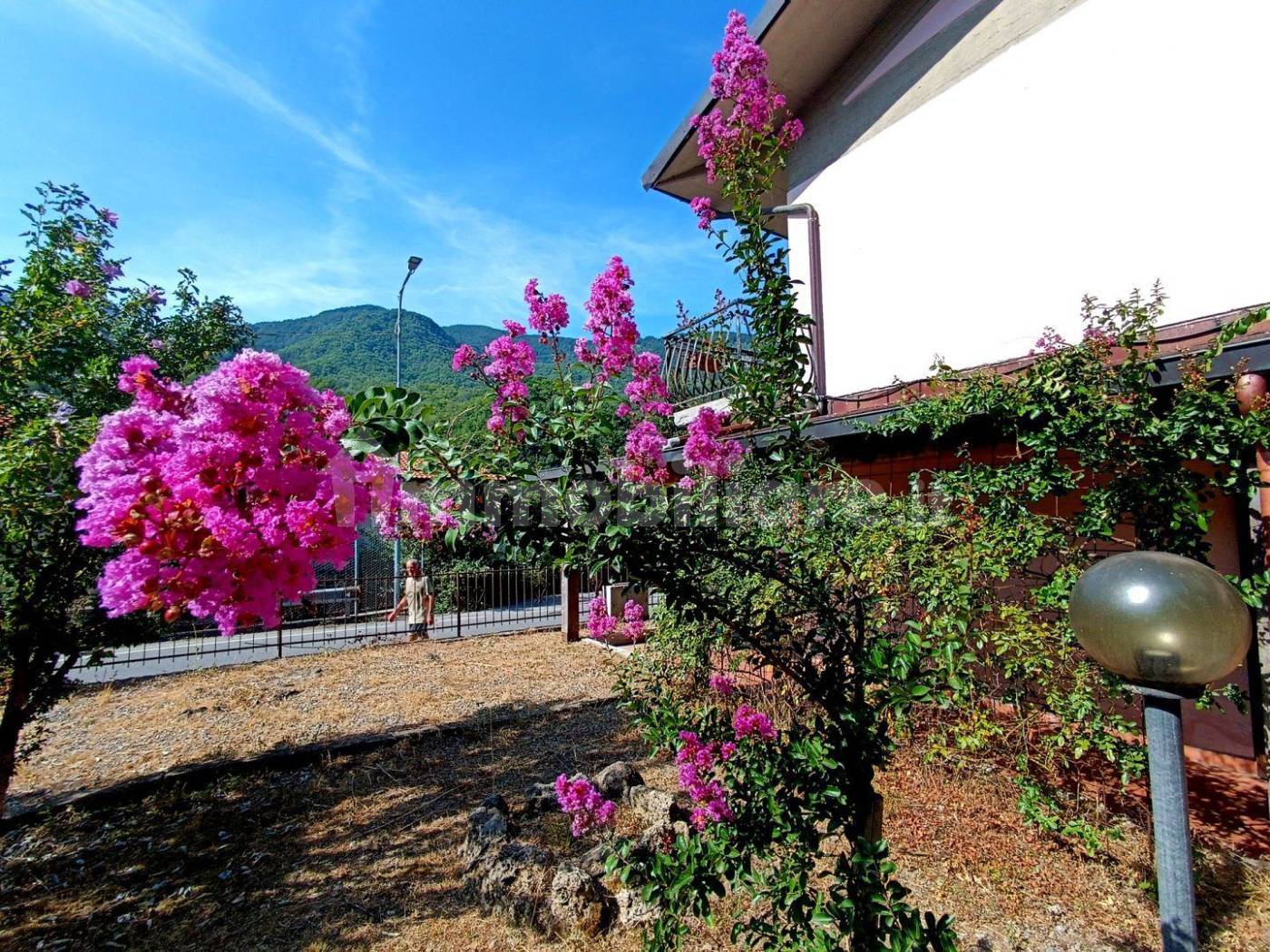 Casa indipendente in vendita a Vagli Sotto