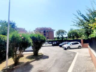 Zona