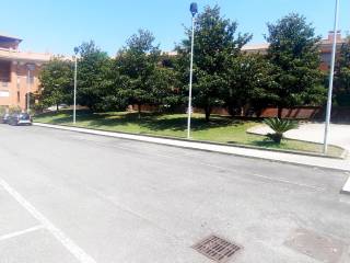 Zona