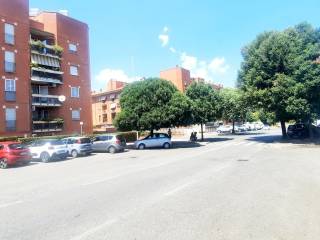 Zona