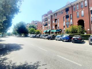 Zona