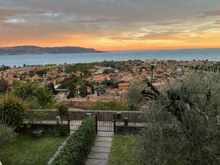 Vista