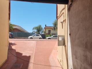 Zona
