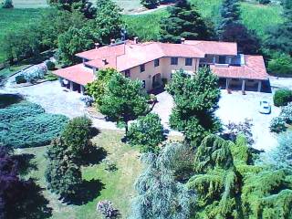 Vista