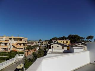 Vista