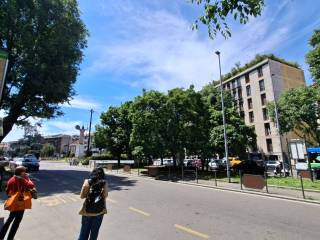 Zona