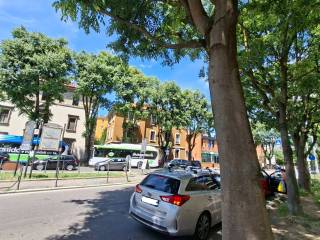 Zona