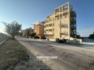 Zona