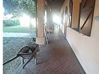 Zona