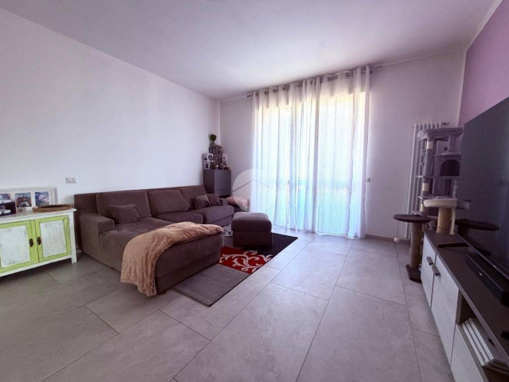 Salone