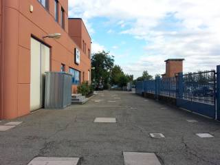 Zona