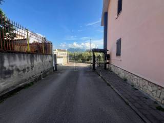 Zona