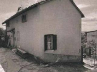 Zona