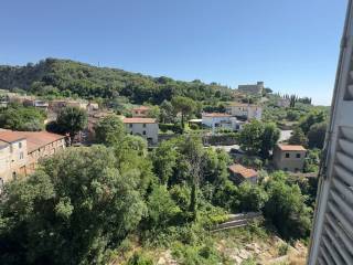 Vista