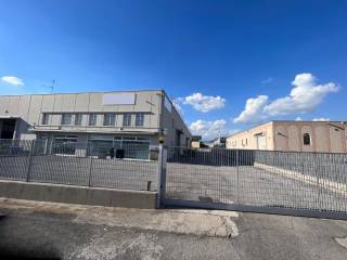 Vista