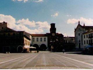 Zona