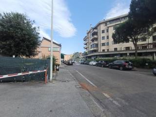 Zona