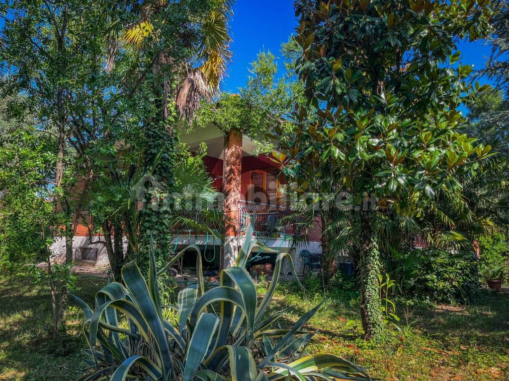 Giardino