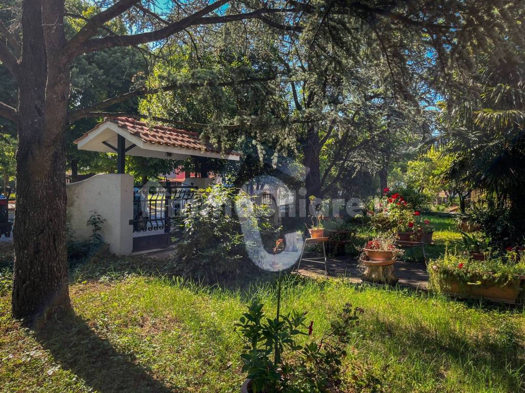 Giardino