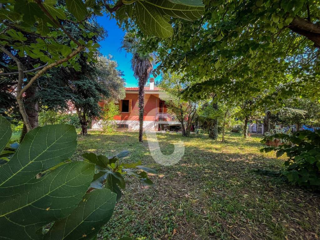 Giardino