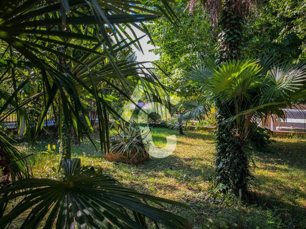 Giardino
