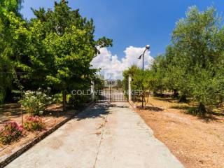 Ingresso