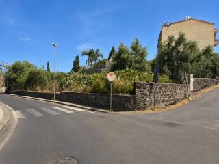 Zona