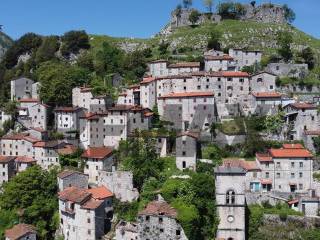 Vista