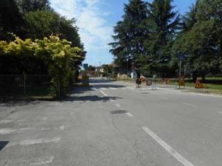 Zona