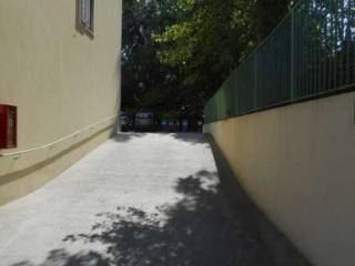 Zona