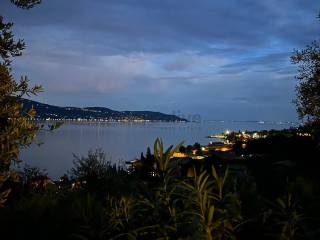 Vista