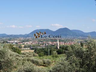 Vista