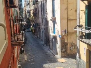 Zona